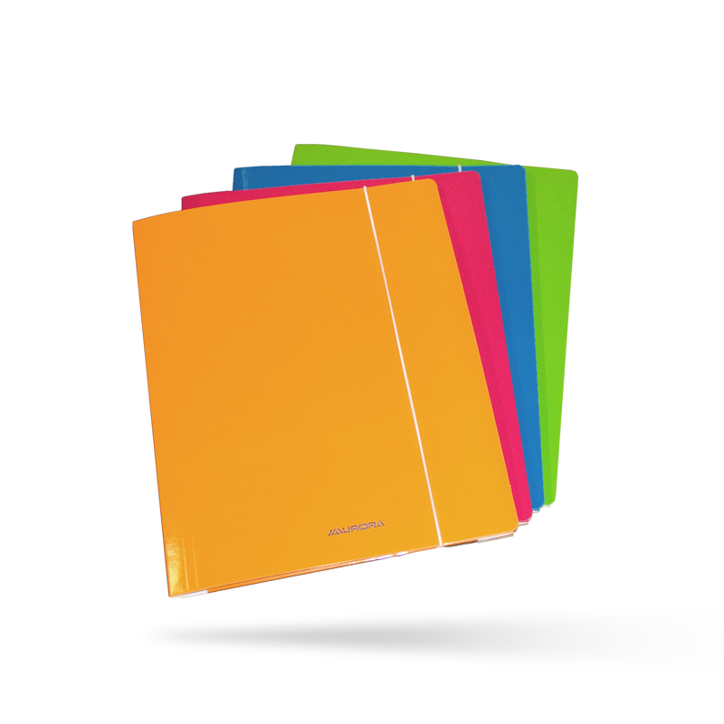 FILELASTIC 3-FLAP FOLDERS